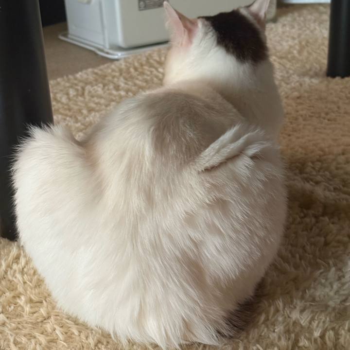 Cac95f1a 8585 4bea 8d9a 230a73243a62 1772418040254