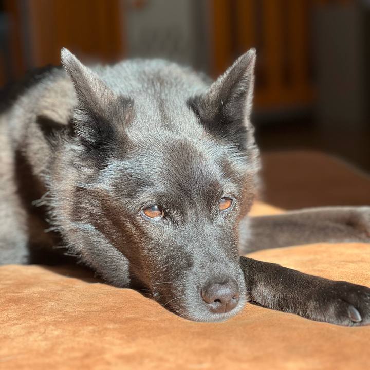 Cac9c6dd 06e0 4e04 b962 fb0429f2db75 1732929766926