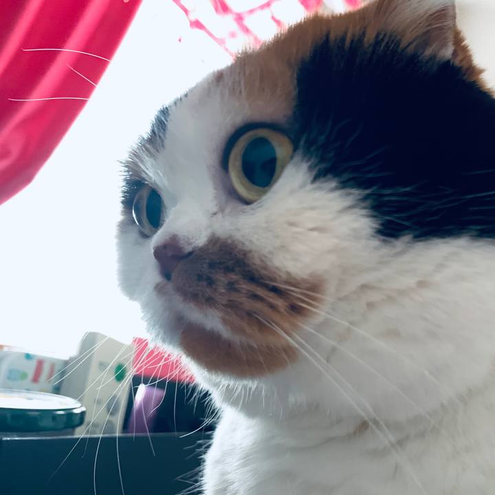 Cac9d2c9 c714 4da1 a020 aee83b4177f0 1572916002875