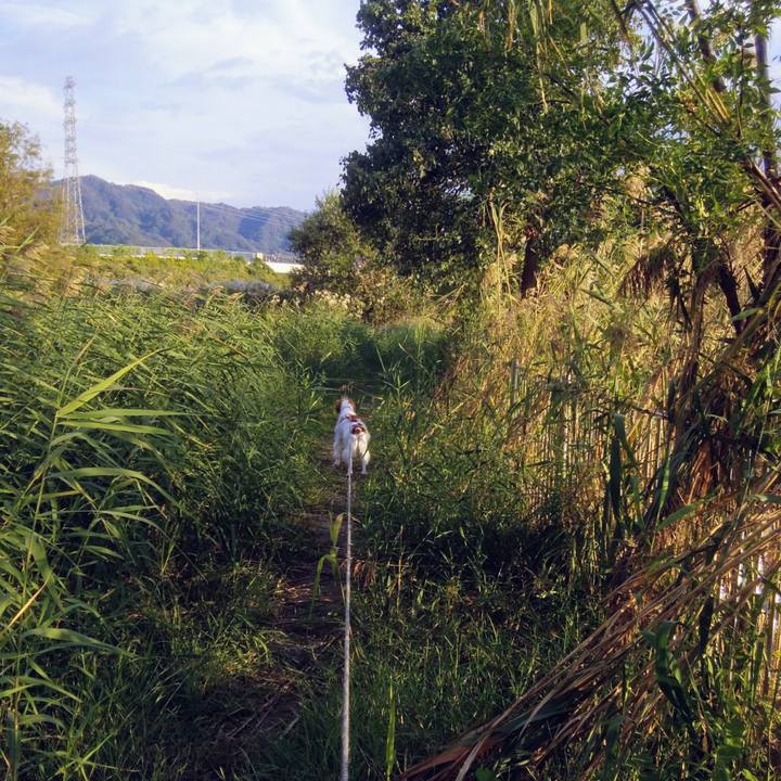 Cac9dfd2 23eb 4dfe 9f98 ed63b9e5c92e 1539766173733