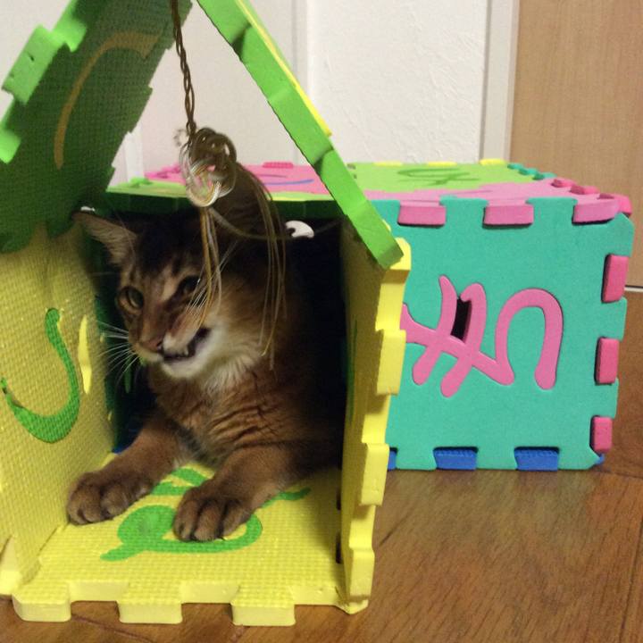 Cac9e0a9 1e71 453f 8888 6a3675d76c66 1566740828509