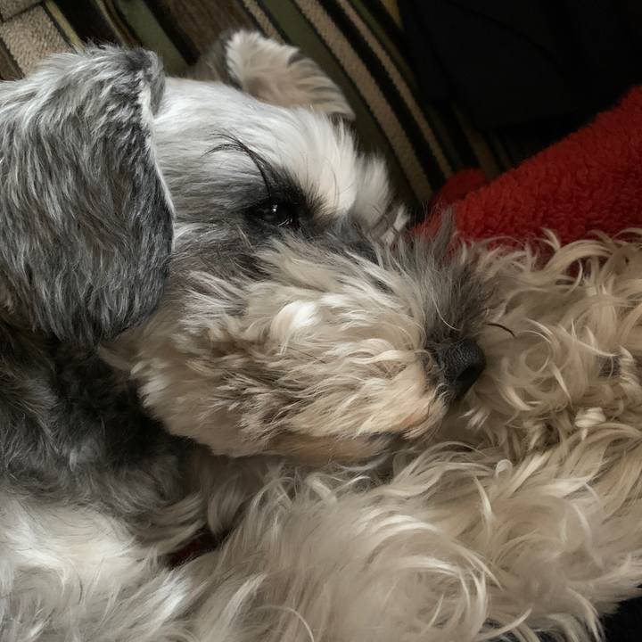 Caca01f0 aacc 4475 beb1 c3c69da4b082 1620971316419