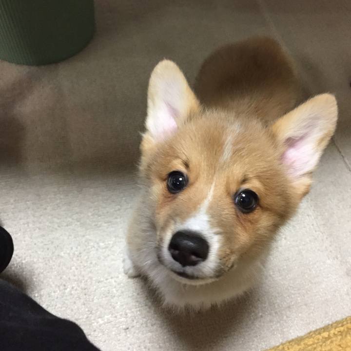 Caca4c32 23e2 4f55 a1e6 016fb8338f73 1767676123257