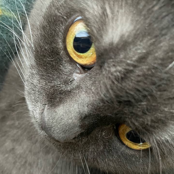 Caca538e 13b7 4238 b4a0 9aceba5d8998 1764542776847