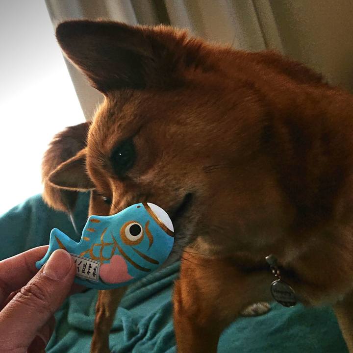 Caca6456 685d 4773 9708 7ebdc7d21420 1557046394086