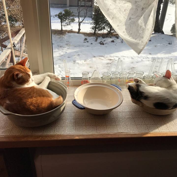 Caca7b61 0255 4e50 94e8 5fda576136bb 1577678455127