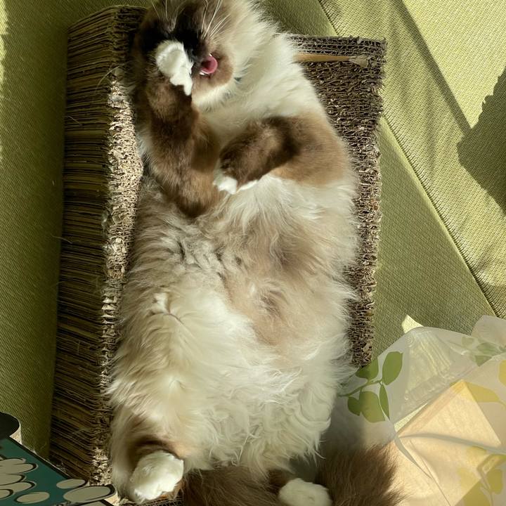 Caca949e 21bb 4b01 b05d 7322ed88fc8b 1651758694302