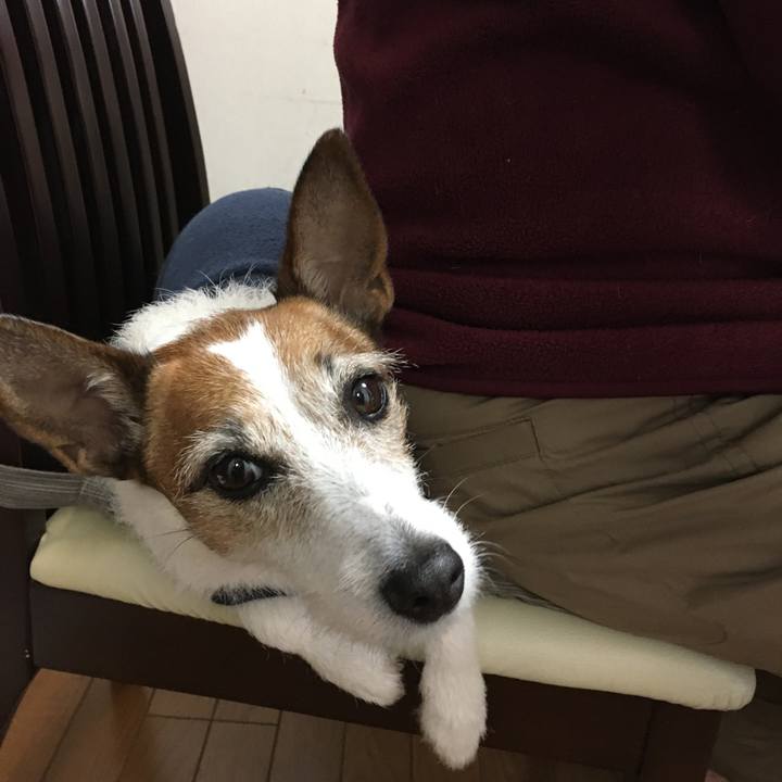 Cacaa71e 74ad 44d7 b698 a9722850ff61 1579130687816