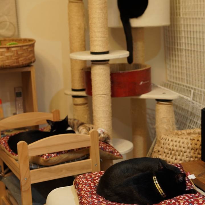 Cacac086 6a13 4156 9347 c8c391cca85d 1576033003146