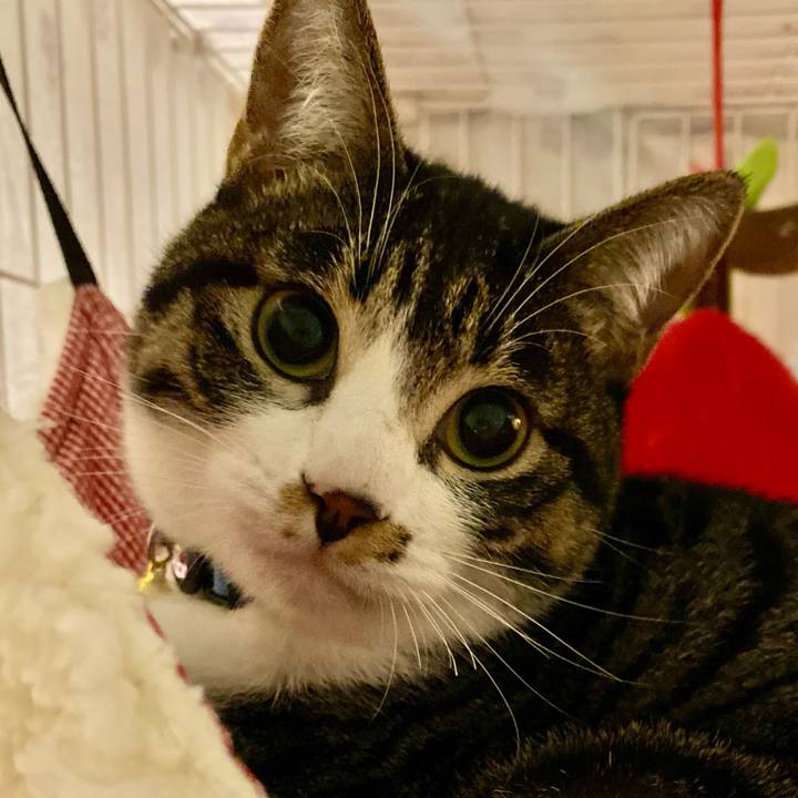 Cacb17f1 ee96 4cfc ba7d e65a7e042719 1707132563440