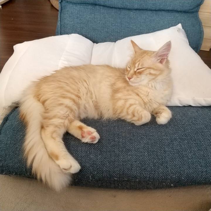 Cacb3fcd 9e1e 4cf9 8d30 ec4066adb005 1611023614810