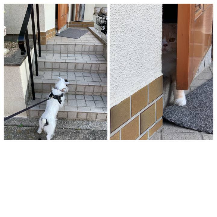 Cacb600e 2bbc 4b70 8ad2 3ae19dfcea39 1660033829840