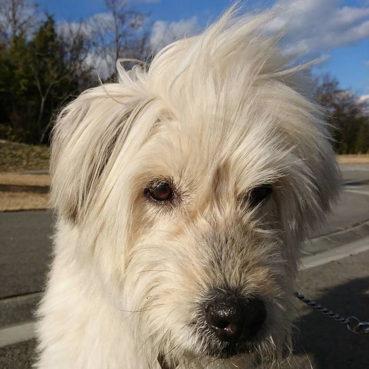 Cacb6a9f f26e 448e ac7a 0f04a9ab98bd 1584262237853