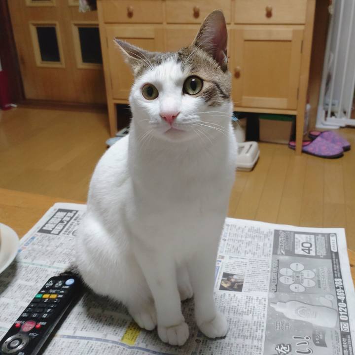 Cacbb3ef cb3e 43cc a018 c962abb6f7c7 1666179583603