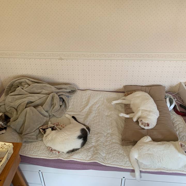 Cacbc79d fa4f 460f aac3 c36089dfc1c3 1650059768817