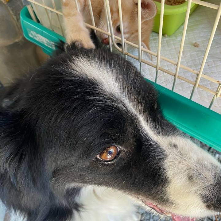 Cacbea7f 2a89 4d42 af1b 0ce5333d0310 1656720155169