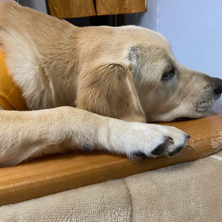 Cacc13e6 a7b0 4477 9bed e9f8f6a3f2ff 1619651139224