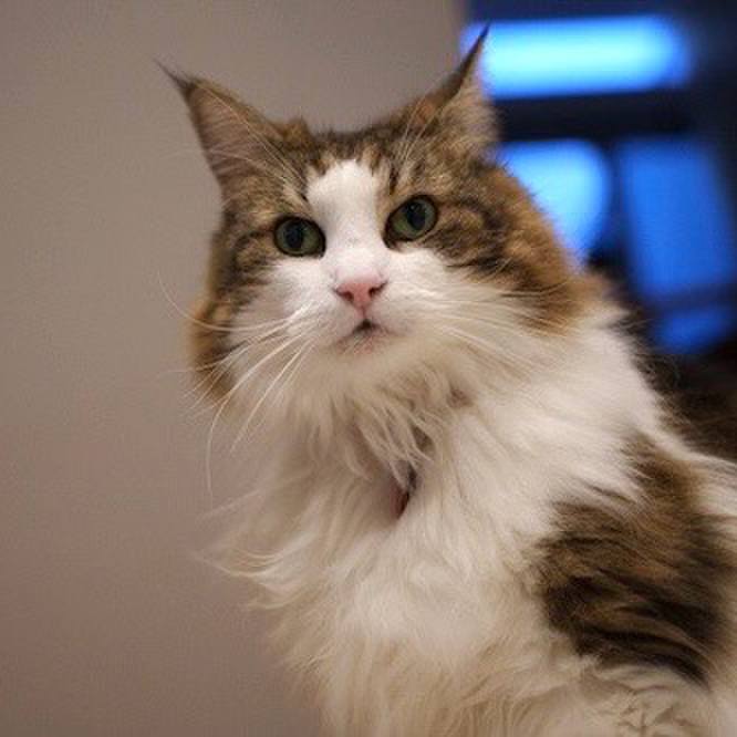 Cacc181e 129a 48c6 8cc1 adc7a74f435c 1760789270529