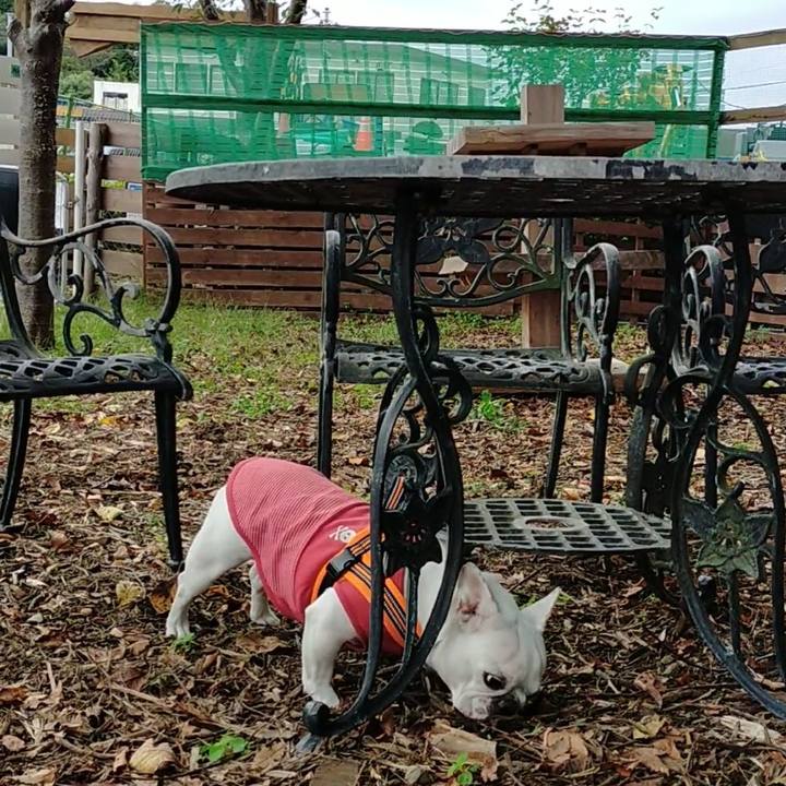 Cacc2060 b45b 4687 8043 0d88b9c847f3 1666132112992