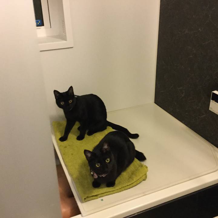 Cacc2dfc 423c 43cc 81b7 1a27a5733483 1515502523567