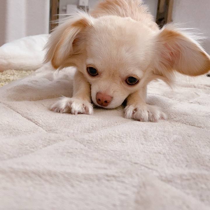 Cacc4cb8 551a 47d2 9871 a35269aa7992 1619185070673