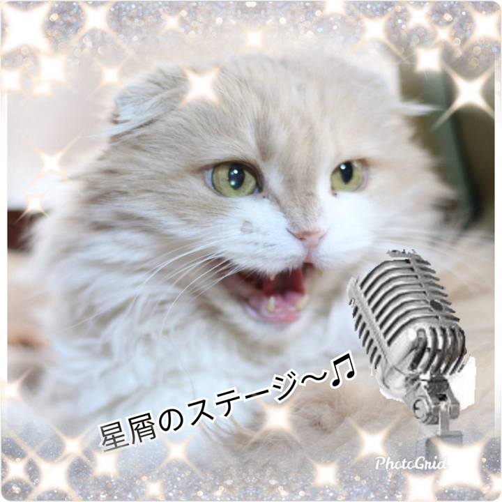 Cacc4e1f 5cb6 4e42 84e7 99d2d2c4e663 1582716621186