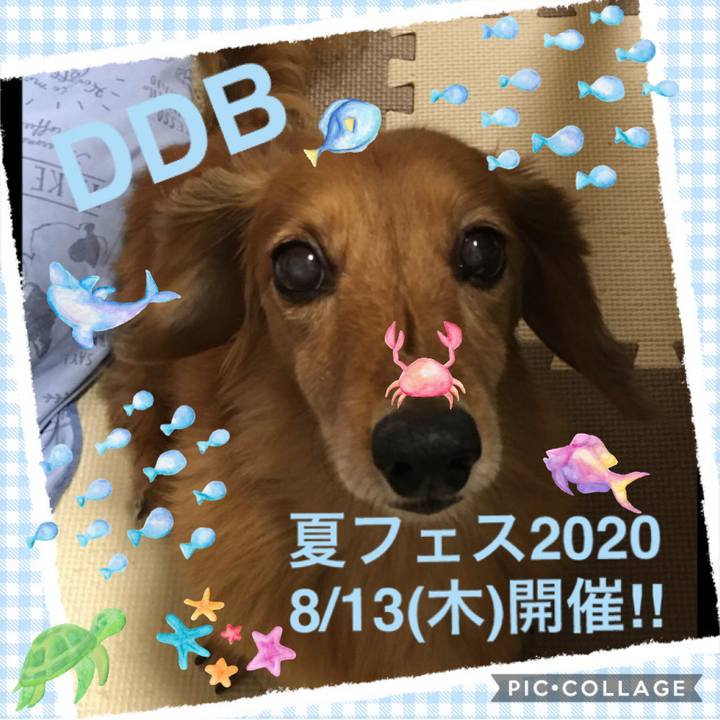 Cacca292 253e 4197 ad9d 5cd1a7e9a1e5 1596716868847