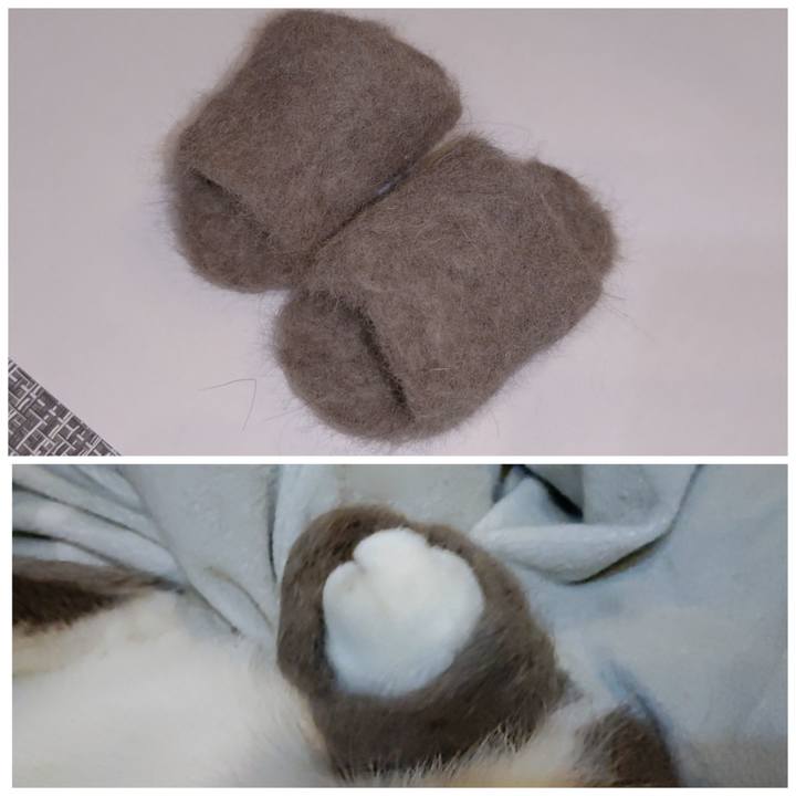 Caccb1ba 274a 4c3c 85dd b7fa73cefd08 1671958709436