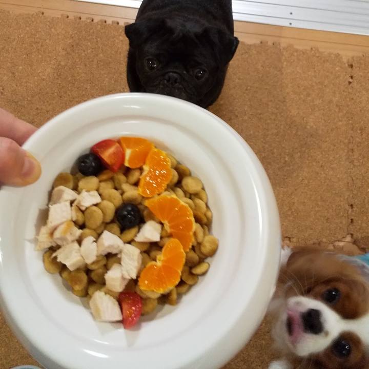 Cacd0164 fa5c 461d b963 7b6948243b03 1596803086644