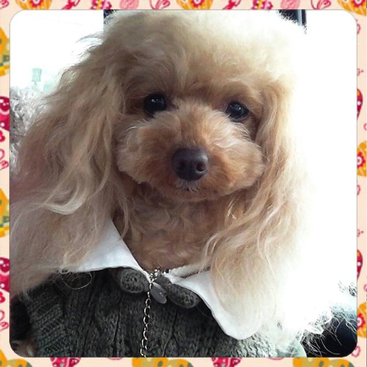 Cacd4af4 e7ca 4d05 ba7c 71e568d85ea9 1546515274432