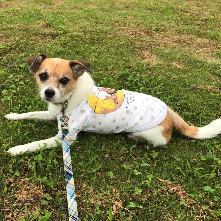 Cacd571c fa82 48dd 96b9 051a858c0a72 1563610554331