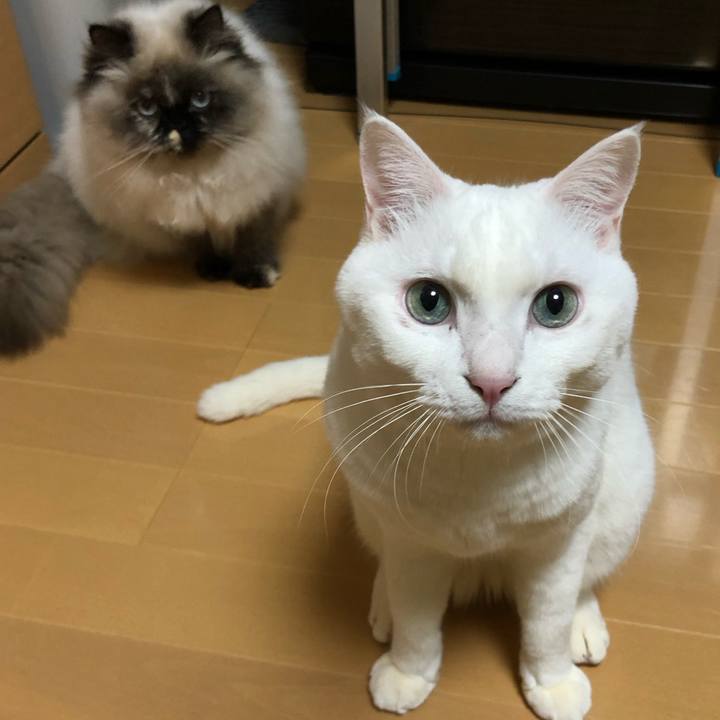 Cacd5acf 4830 45ce a7cd 7a30f092e2a2 1641569179307