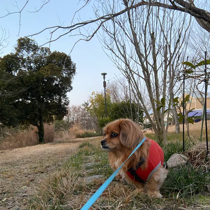 Cacd9a83 b029 4332 a902 688f41b11096 1612389591969