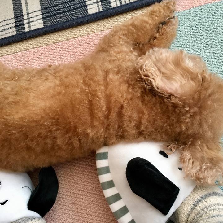 Cacda0d9 b5e6 4eee 8f41 d7f0d139563b 1511234935748