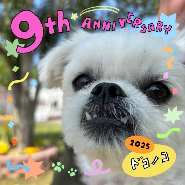 Cacdbe9e 3e69 4a9e b312 1356071f1ea6 1749132848964