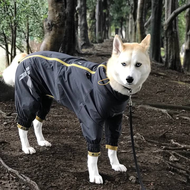 Cacdd658 c88d 49ac 8d04 27aa4c473623 1520554924713