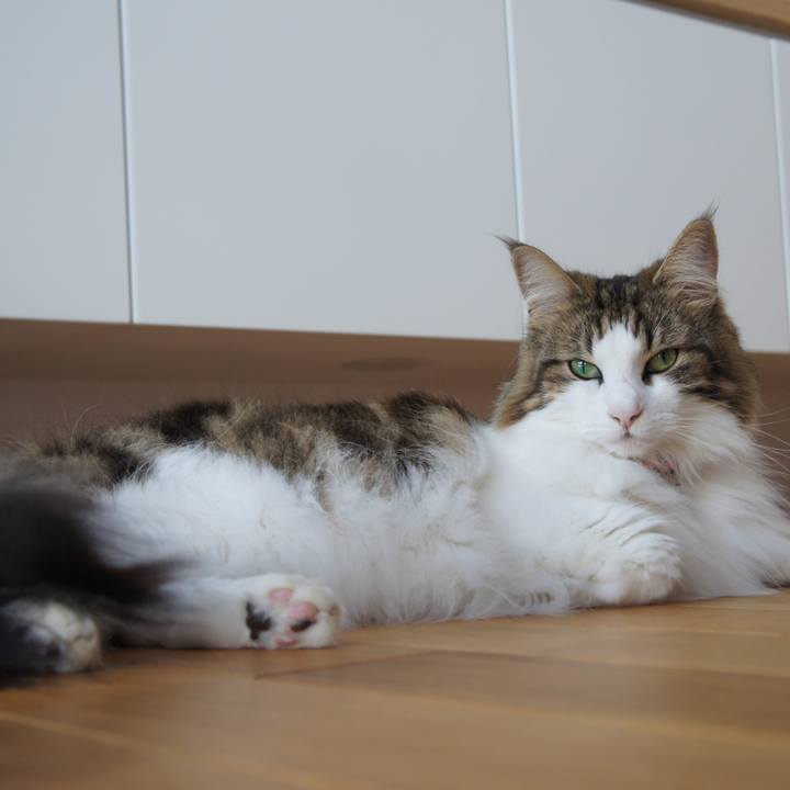 Cace3177 300f 4f7b 8657 a2de67deabb2 1534126831491