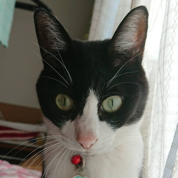 Cacea53c 9801 415c a853 17aa01dac63b 1668822444551