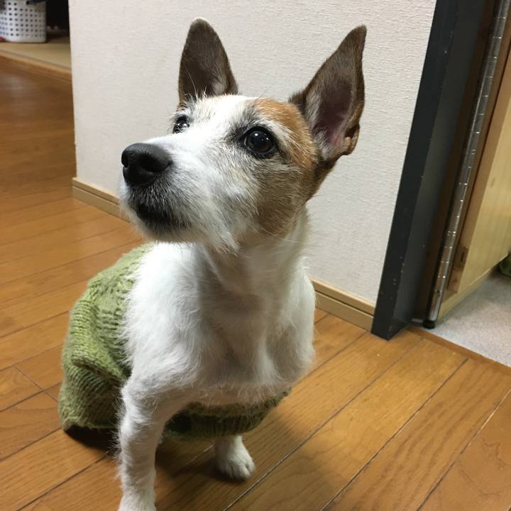 Cacee48c 13d5 4f12 86e0 ca24f04e4c3d 1641338438069