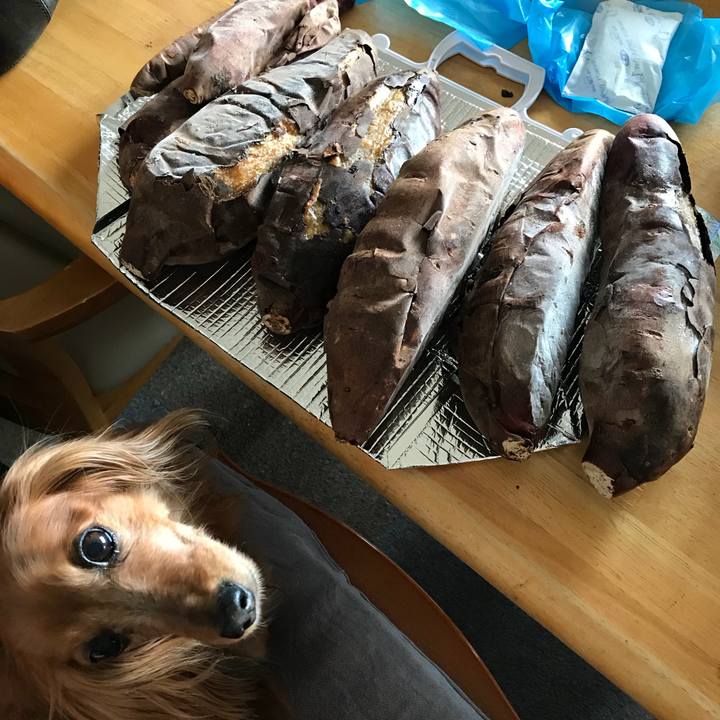 Cacef124 0816 48f2 81dc e943ed6acce7 1527244768809