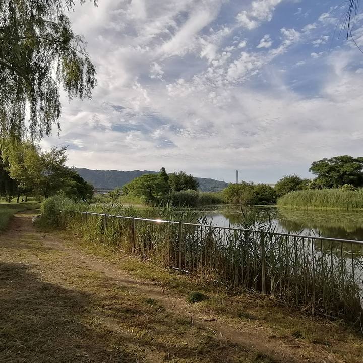 Cacf1919 ec61 42ad 8c7a e15350262384 1592351859662