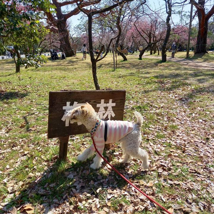 Cacf7e1e a3a8 421c 9e08 224adb4107a2 1615705344225