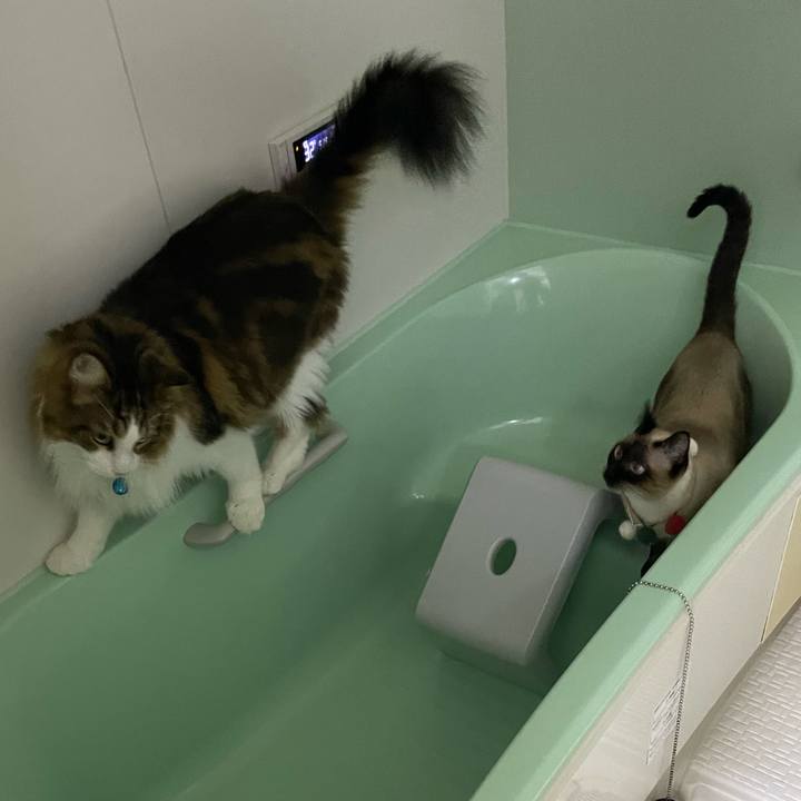 Cacf7fe4 4ebc 4f3b 96eb fb806b153766 1731960083272