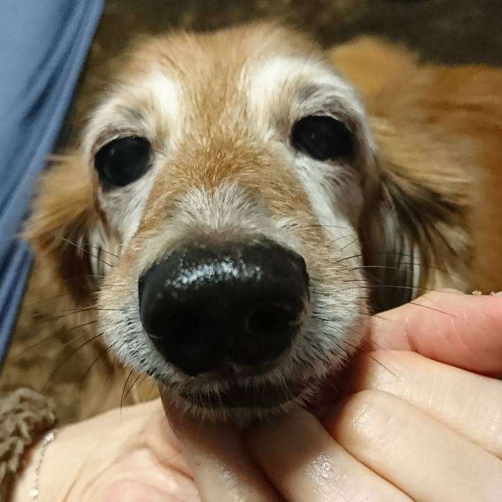 Cacf938c 1d1e 462a a802 eab1865e39d4 1509788075228