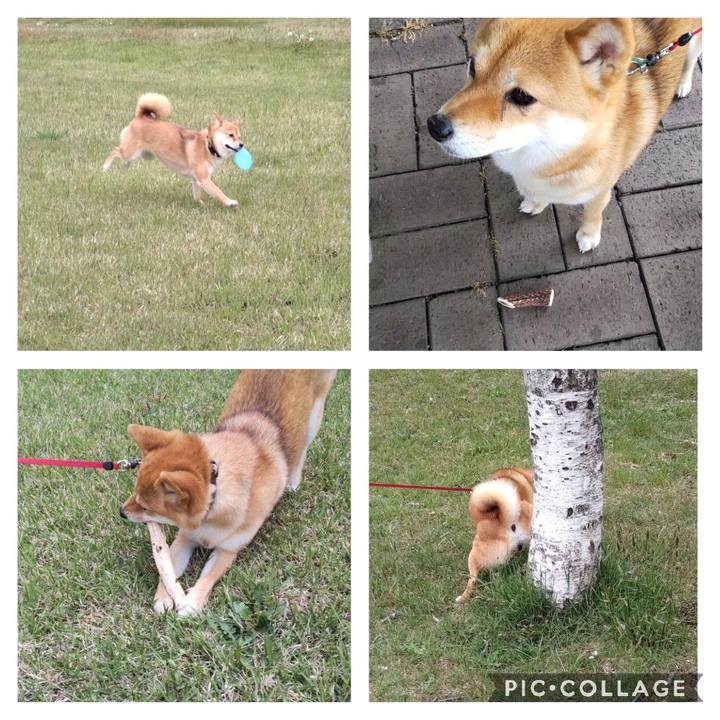 Cad0305b 769e 4c90 88ee 3425e6f3cd35 1652598456249