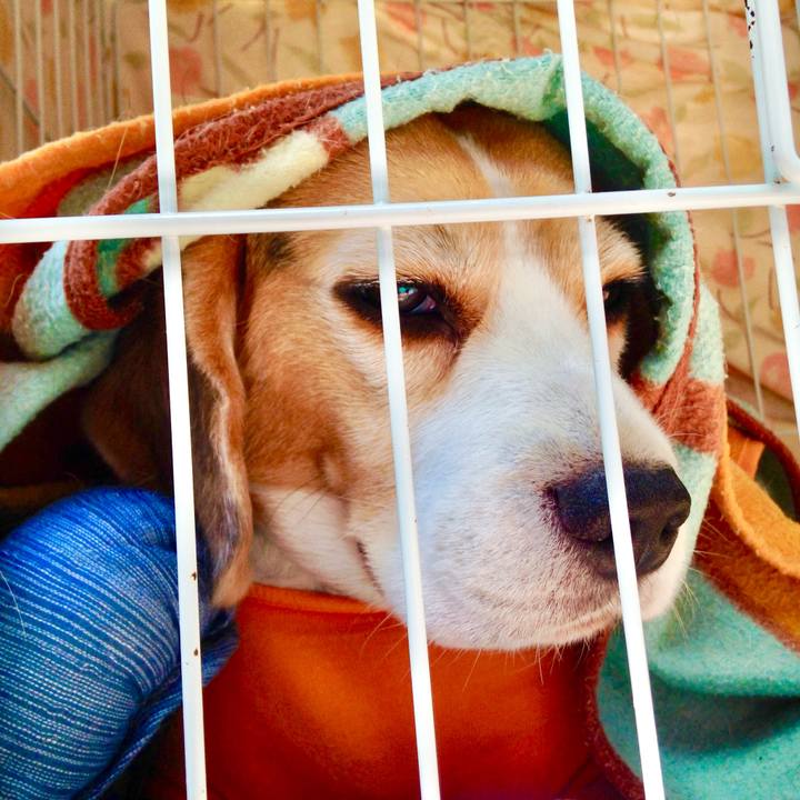 Cad070ad d828 4ee4 bbe1 a3dbcb0935c9 1749957659873