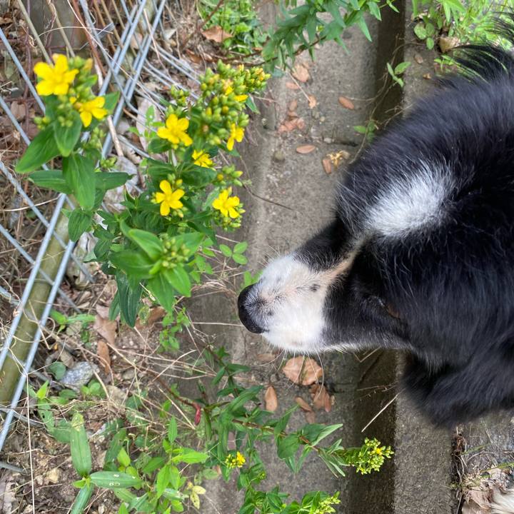 Cad07ece 7598 46f0 ac2e 81377e063cf2 1690073913565