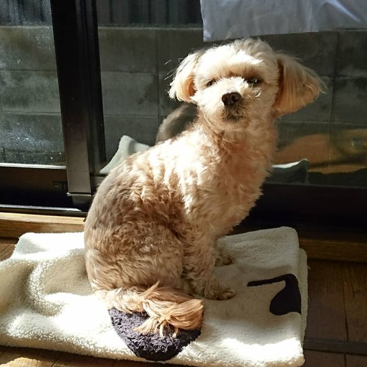 Cad0a12b 8f86 4955 8dc3 488400e53fcb 1583038964613