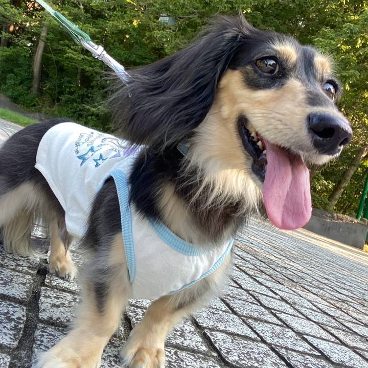 Cad0b9e4 4168 446c 8305 f4bd69e538cf 1756252031593