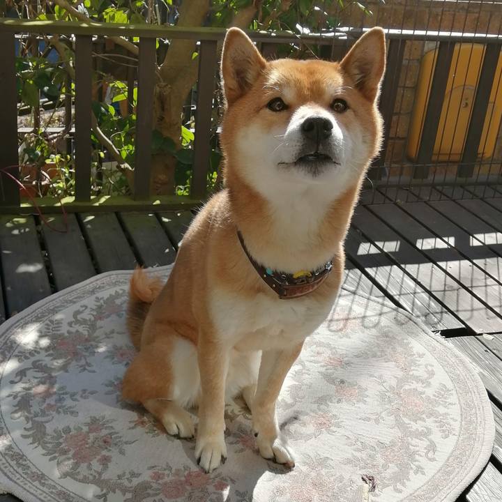 Cad0c440 836e 4e8b b774 4b72ca539b48 1582002379599